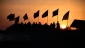 پویش بزرگ در مسیر حسین (ع)